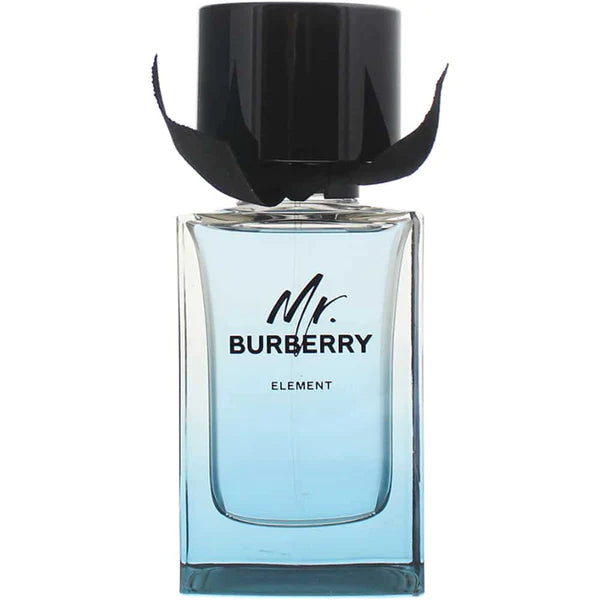 Burberry Mr Burberry Element For Men Eau De Toilette 100ML