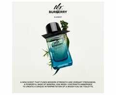 Burberry Mr Burberry Element For Men Eau De Toilette 100ML